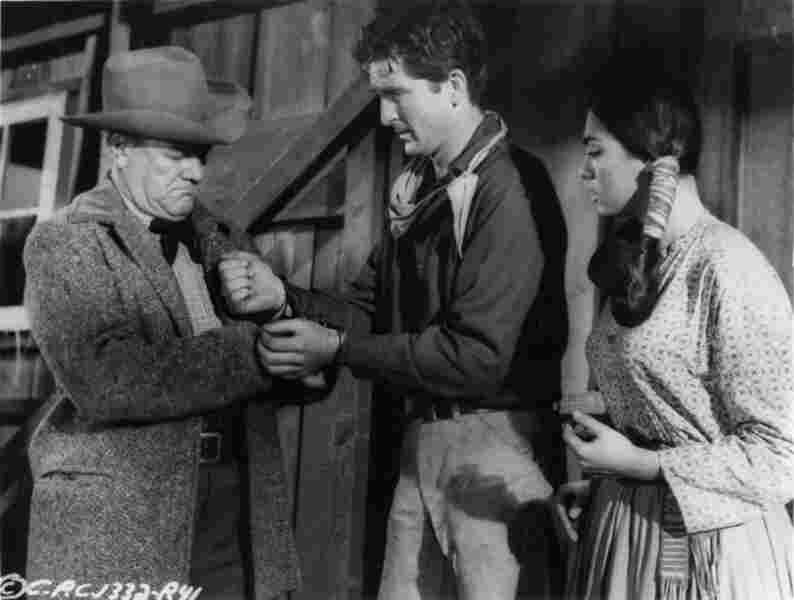 Gunmen from Laredo (1959) Screenshot 3