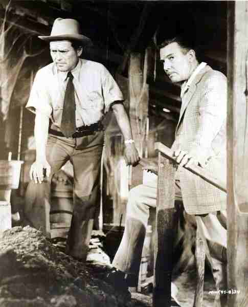 The Man in the Net (1959) Screenshot 2