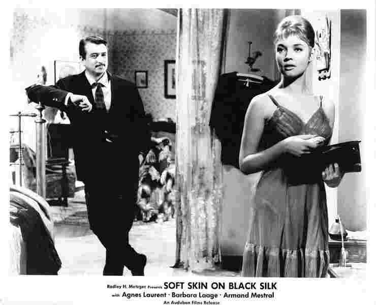 Soft Skin on Black Silk (1959) Screenshot 5