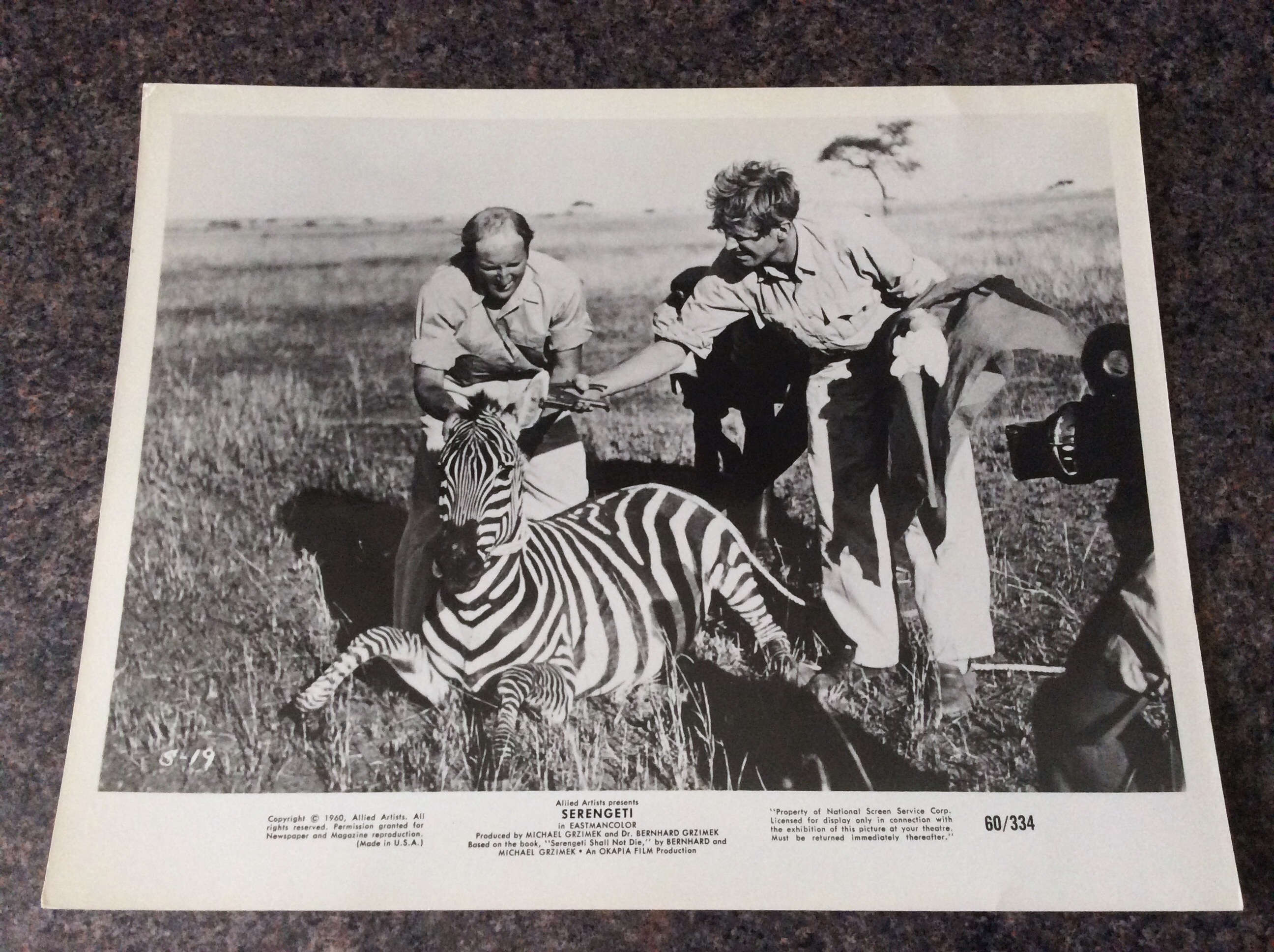 Serengeti (1959) Screenshot 3