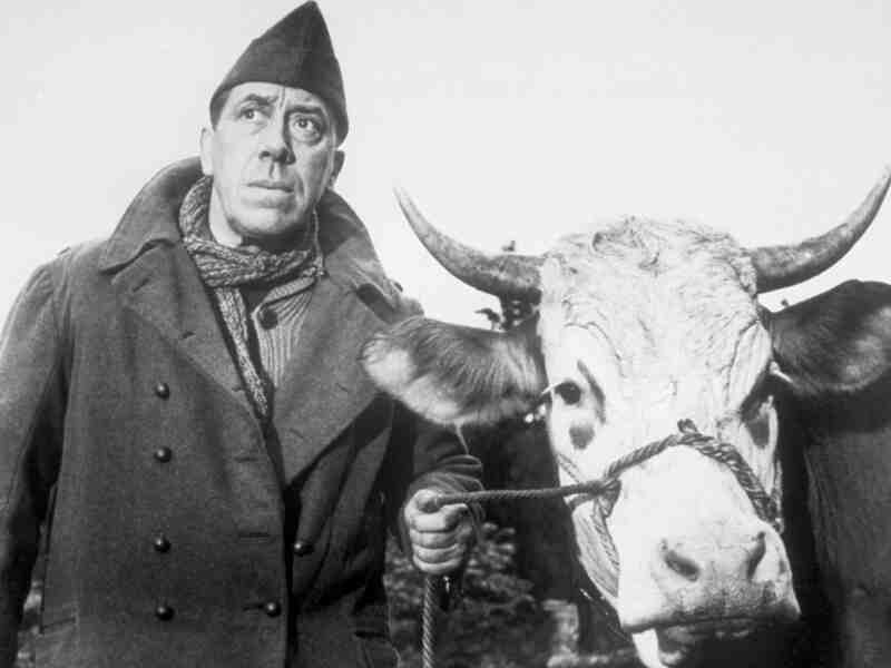 The Cow and I (1959) Screenshot 4
