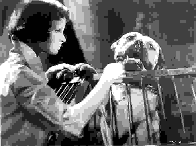 Eyes Without a Face (1960) Screenshot 4