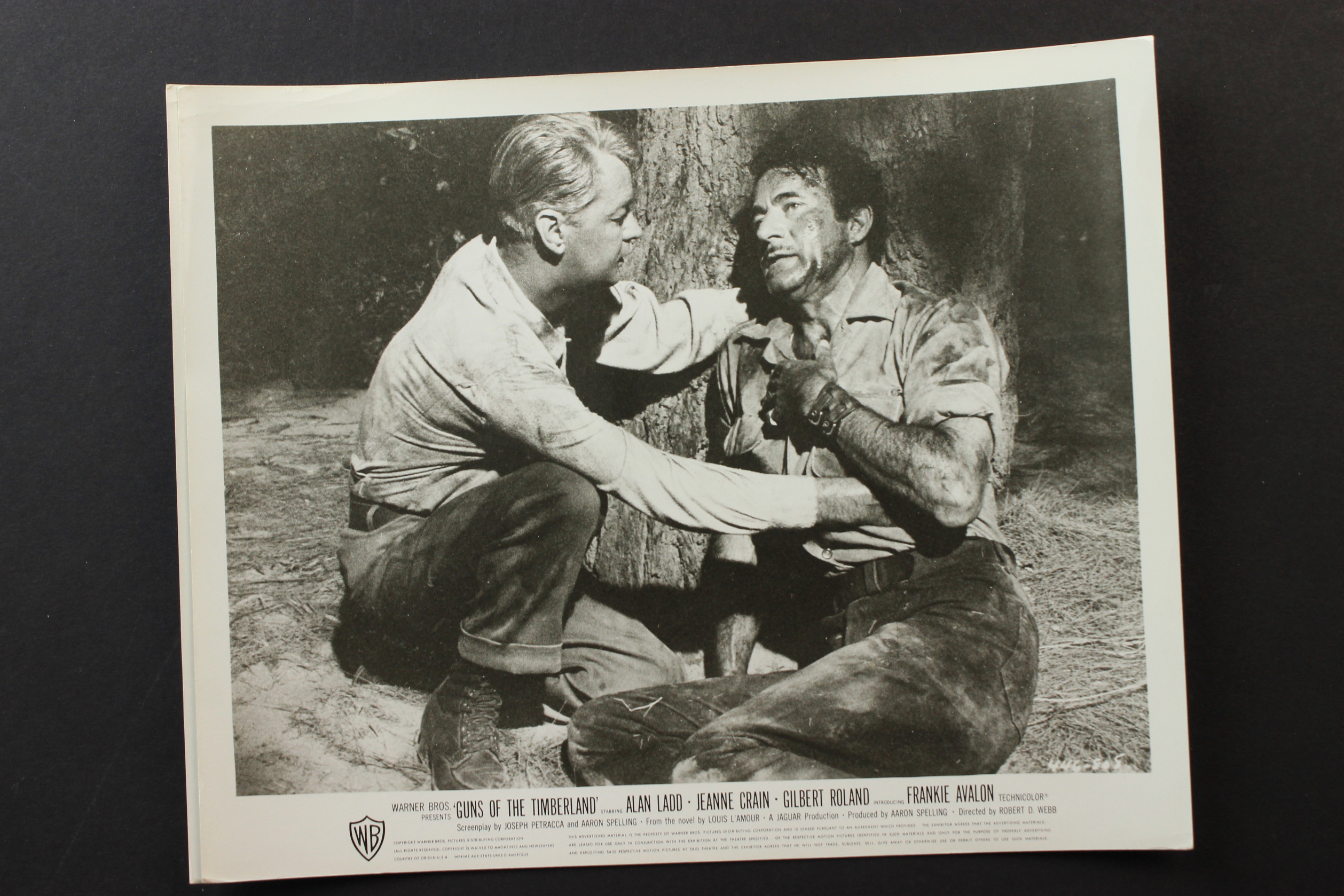 Guns of the Timberland (1960) Screenshot 3