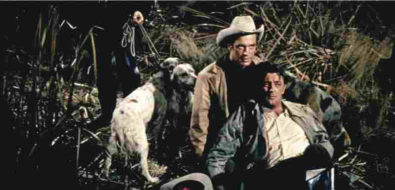 Home from the Hill (1960) Screenshot 3