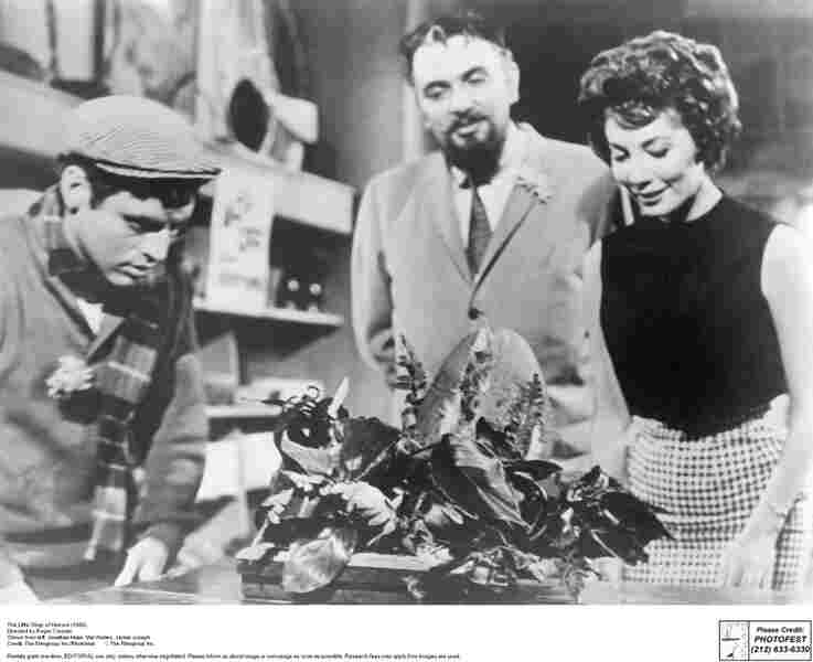 The Little Shop of Horrors (1960) Screenshot 1