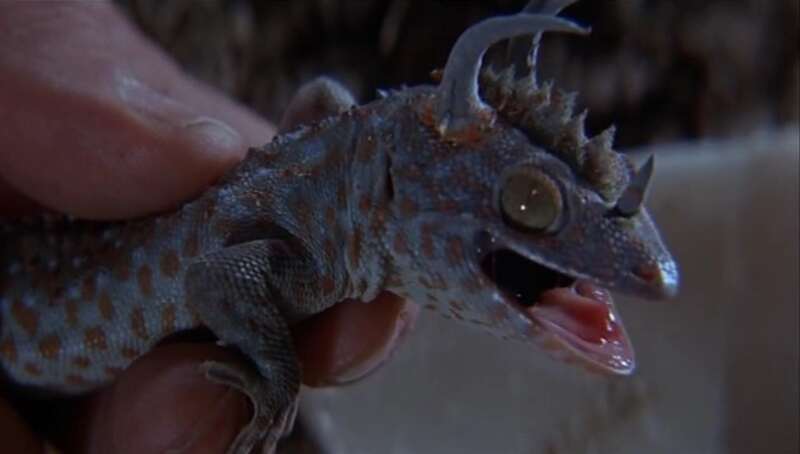 The Lost World (1960) Screenshot 5
