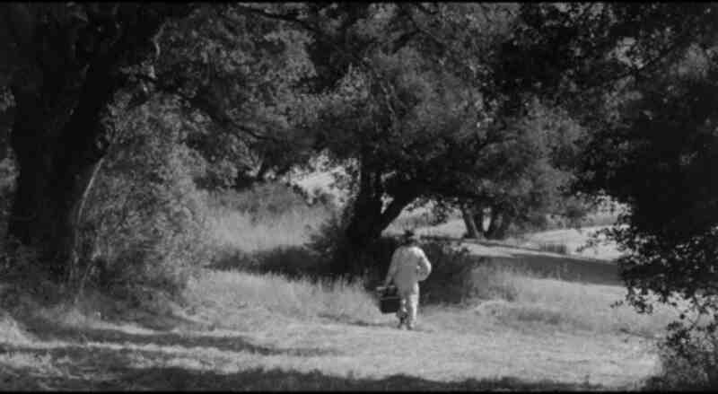 The Wasp Woman (1959) Screenshot 5