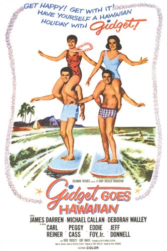 Gidget Goes Hawaiian (1961) Screenshot 2