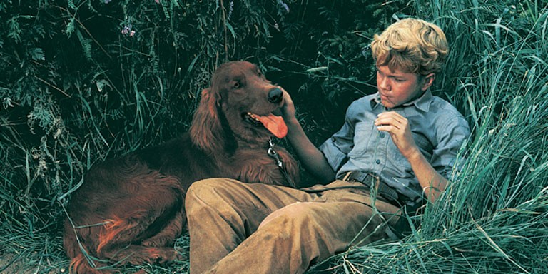 Big Red (1962) Screenshot 4