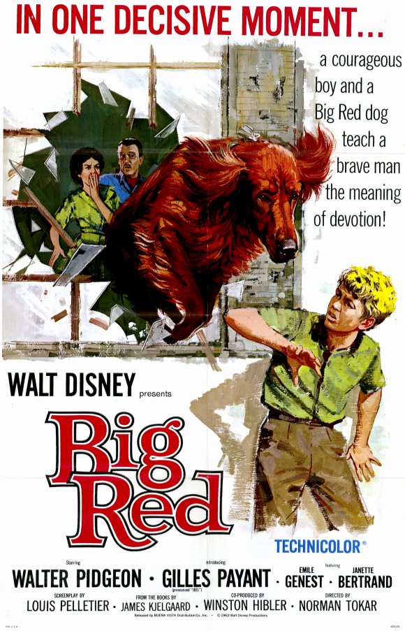 Big Red (1962) starring Walter Pidgeon on DVD on DVD