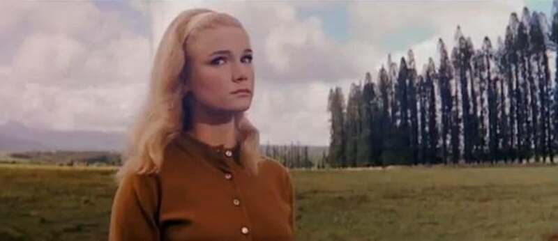 Diamond Head (1962) Screenshot 4