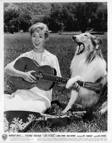 Lad: A Dog (1962) Screenshot 1