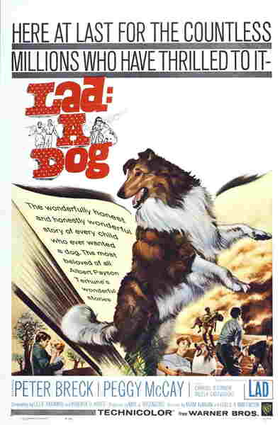 Lad: A Dog (1962) starring Peter Breck on DVD on DVD