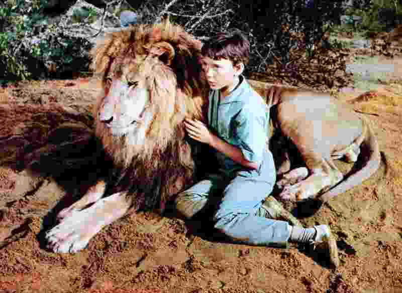The Lion (1962) Screenshot 5