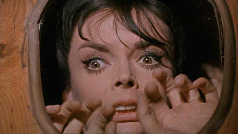 The Horrible Dr. Hichcock (1962) Screenshot 3