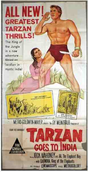 Tarzan Goes to India (1962) starring Jock Mahoney on DVD DVD Tarzan Goes to India (1962) Screenshot 3