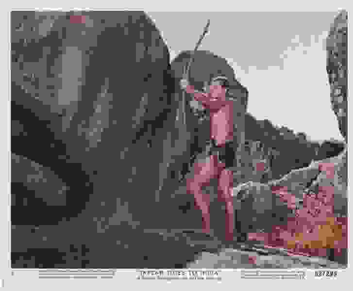 Tarzan Goes to India (1962) starring Jock Mahoney on DVD DVD Tarzan Goes to India (1962) Screenshot 5