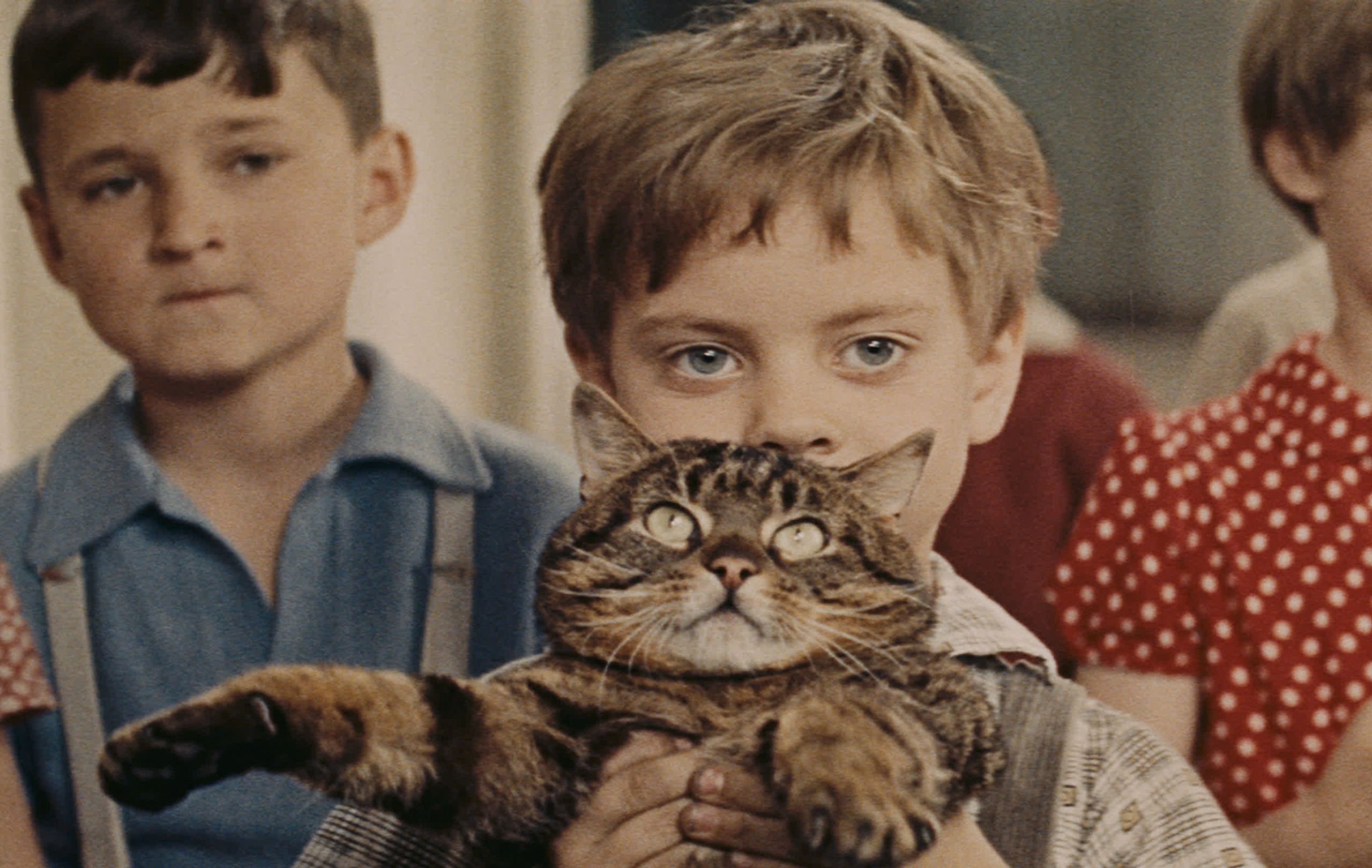 When the Cat Comes (1963) Screenshot 1