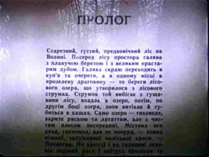 Lisova pisnya (1961) Screenshot 1