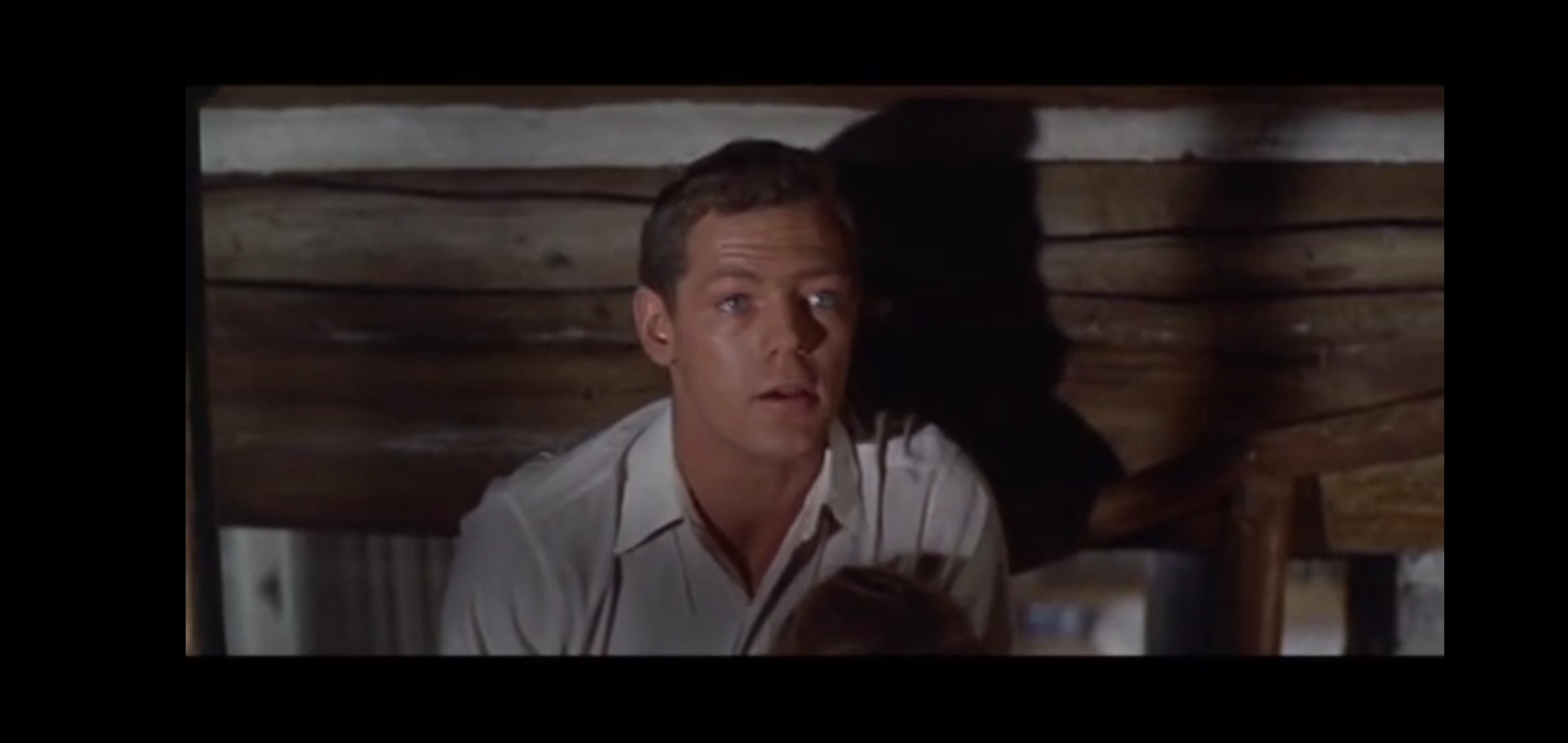 Spencer's Mountain (1963) Screenshot 5