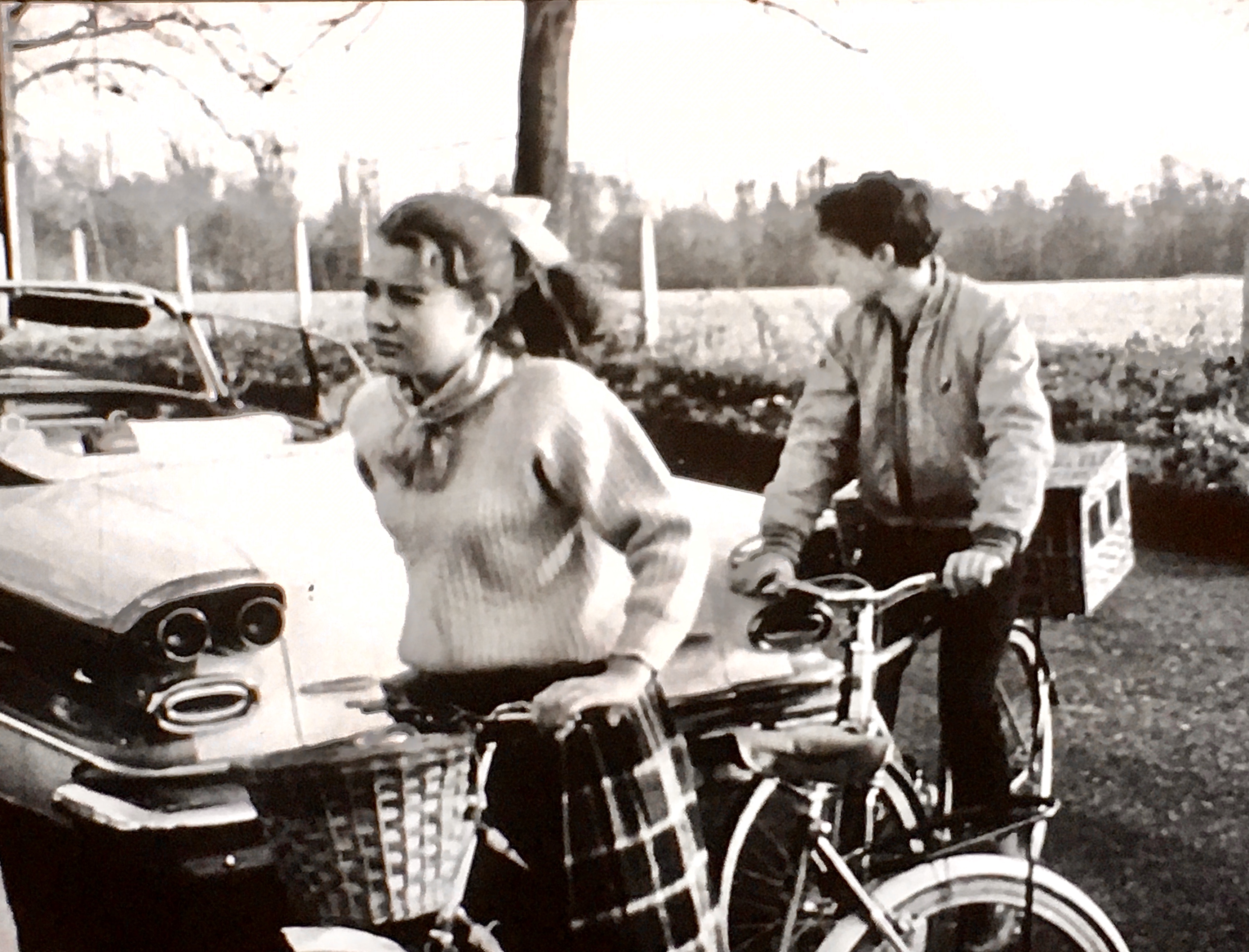 Wings of Mystery (1963) Screenshot 2
