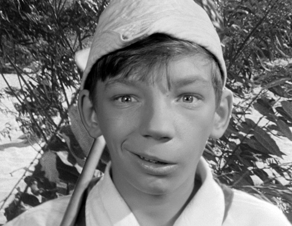 Welcome, or No Trespassing (1964) Screenshot 1 