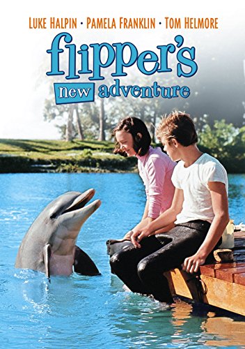 Flipper's New Adventure (1964) Screenshot 1