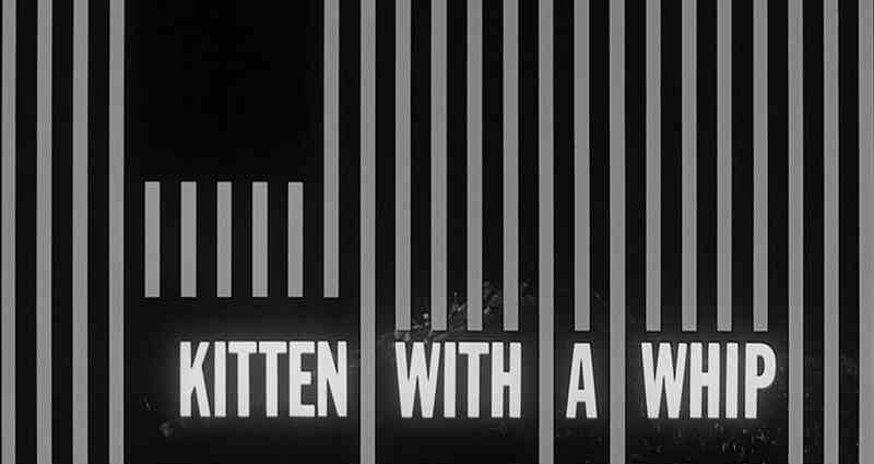 Kitten with a Whip (1964) Screenshot 4