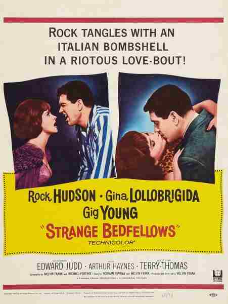Strange Bedfellows (1965) starring Rock Hudson on DVD on DVD