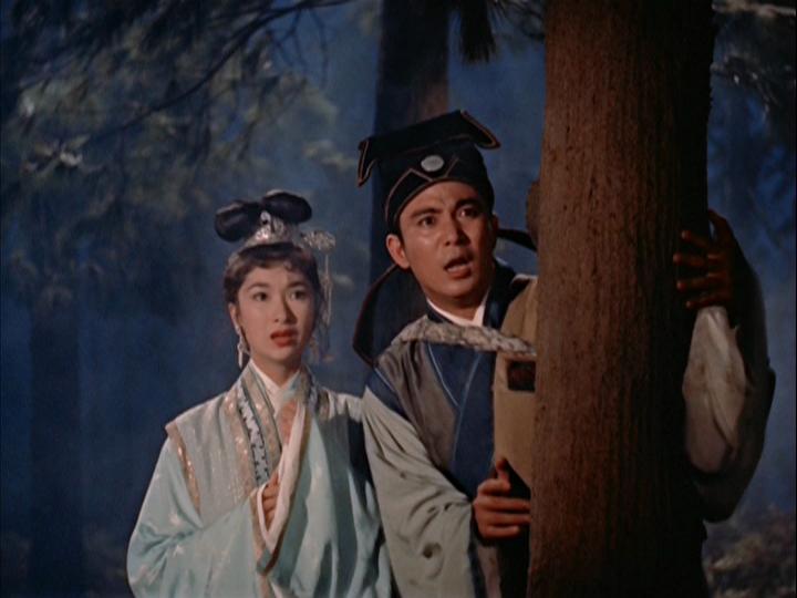 The Enchanting Shadow (1960) Screenshot 4