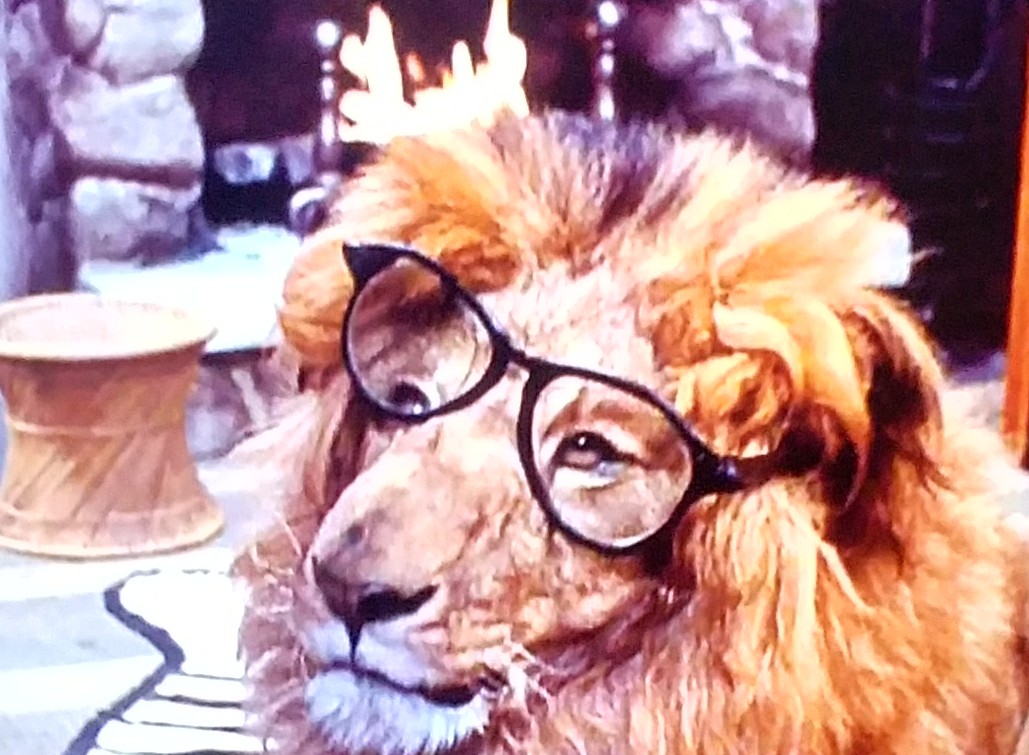 Clarence, the Cross-Eyed Lion (1965) Screenshot 5 