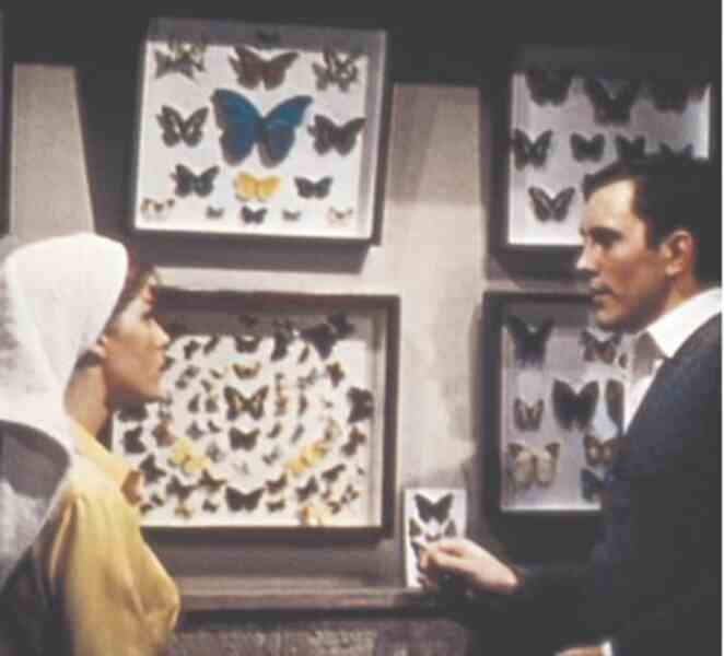 The Collector (1965) Screenshot 2