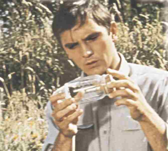 The Collector (1965) Screenshot 3