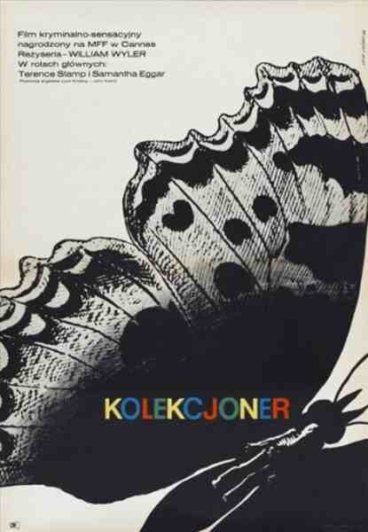 The Collector (1965) Screenshot 4