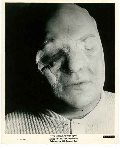 Curse of the Fly (1965) Screenshot 3