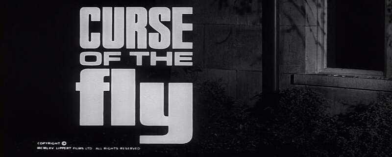 Curse of the Fly (1965) Screenshot 4