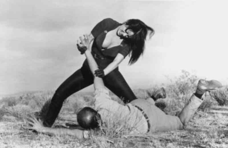 Faster, Pussycat! Kill! Kill! (1965) Screenshot 1