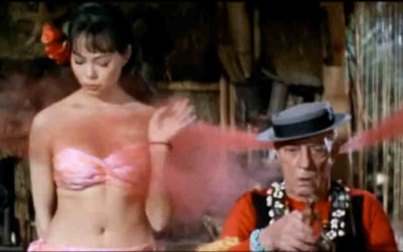 How to Stuff a Wild Bikini (1965) Screenshot 1