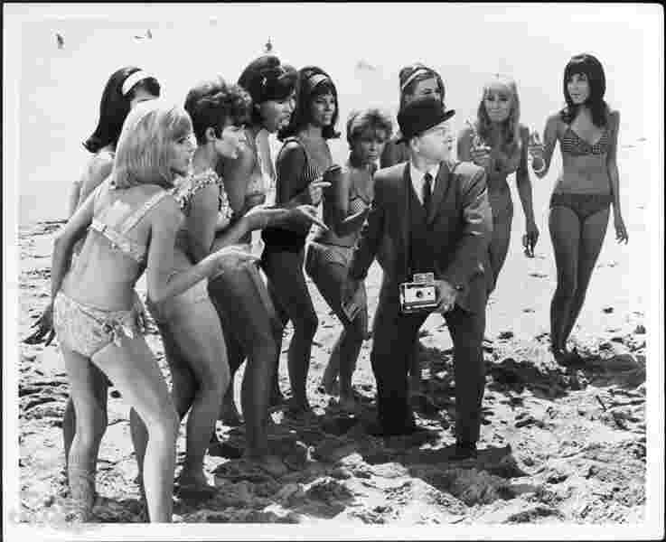 How to Stuff a Wild Bikini (1965) Screenshot 3