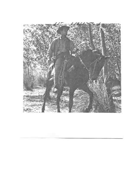 Ranch of the Ruthless (1965) Screenshot 4