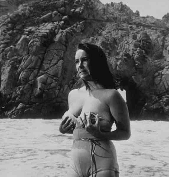 The Sandpiper (1965) Screenshot 1