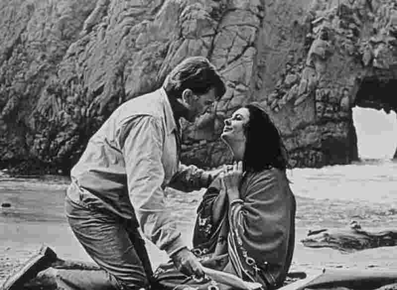 The Sandpiper (1965) Screenshot 3