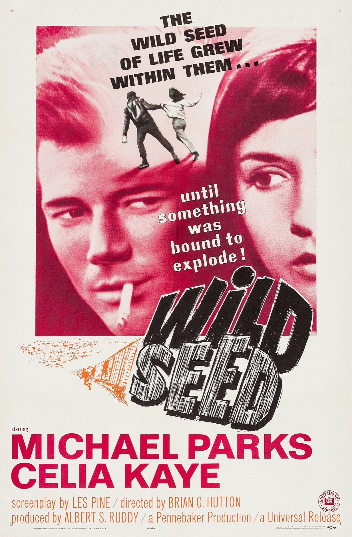 Wild Seed (1965) starring Michael Parks on DVD on DVD
