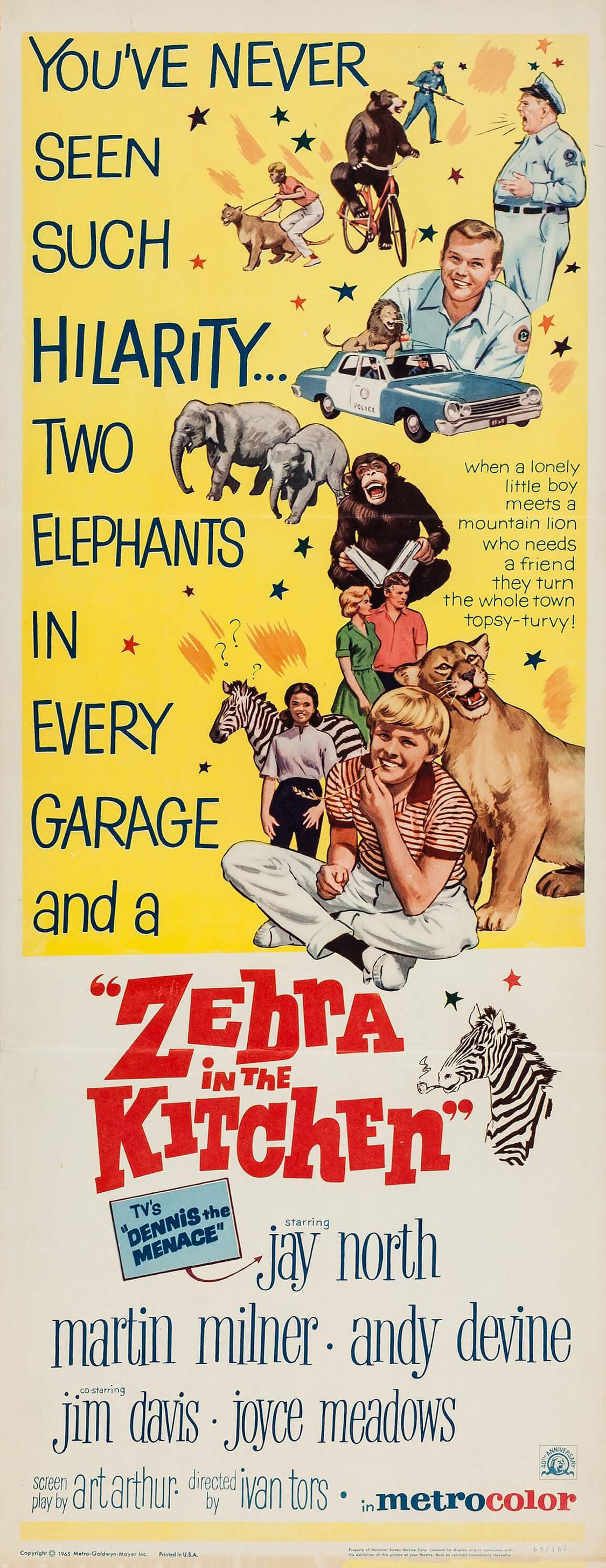 Zebra in the Kitchen (1965) Screenshot 2