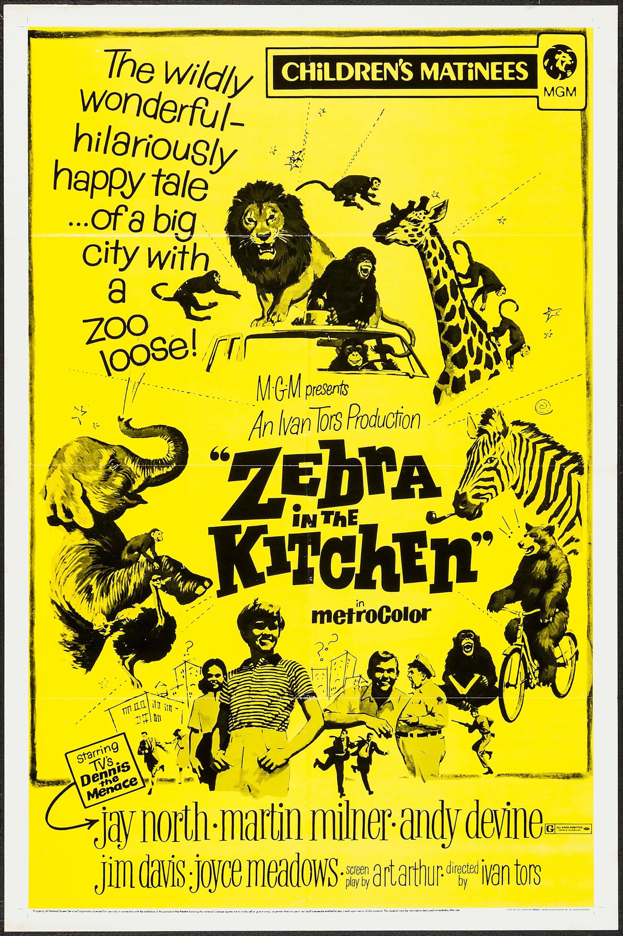 Zebra in the Kitchen (1965) Screenshot 3