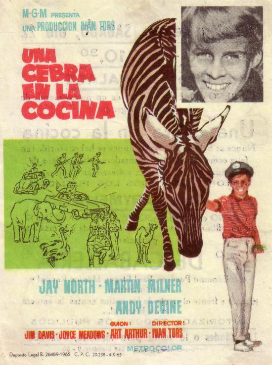 Zebra in the Kitchen (1965) Screenshot 4