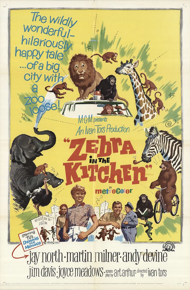 Zebra in the Kitchen (1965) starring Jay North on DVD on DVD