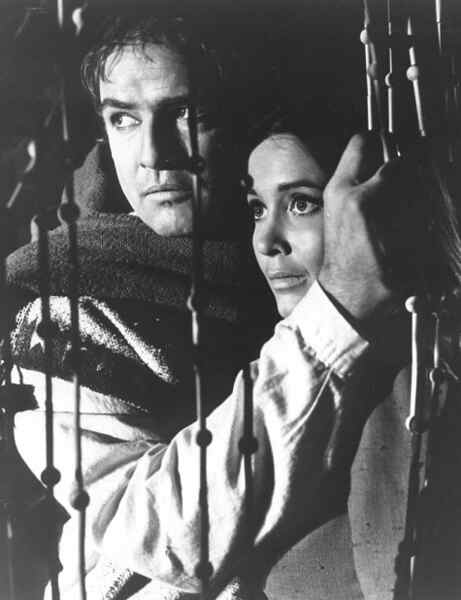 The Appaloosa (1966) Screenshot 1