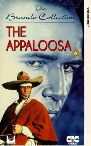 The Appaloosa (1966) Screenshot 3