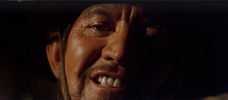 The Appaloosa (1966) Screenshot 5